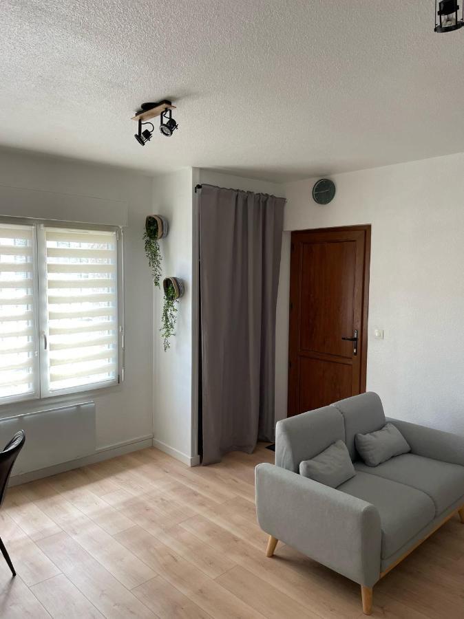Appart Avec Chambre Lumineux Et Chaleureux Le Boulou Extérieur photo